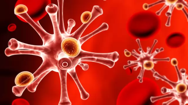 করোনাভাইরাস মোকাবিলায় ৫০ কোটি টাকা বরাদ্দ