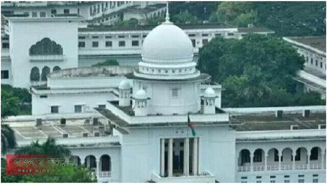 গাছের ক্ষতিতে কোন ছাড় নয়: হাইকোর্ট