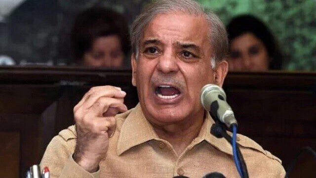 নতুন সরকার প্রতিহিংসার রাজনীতি করবে না: শাহবাজ