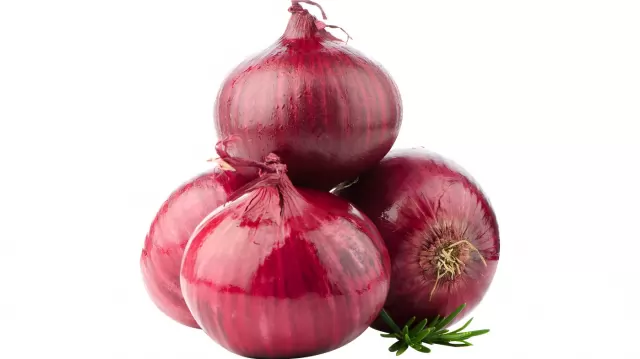 ভারত থেকে পেঁয়াজ আমদানি নিয়ে চাষি উদ্বিগ্ন