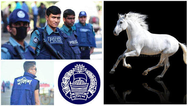 পুলিশের প্রশিক্ষণের জন্য ভারত থেকে দেশে এল ১৫টি ঘোড়া
