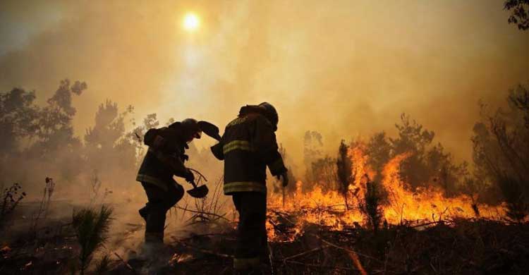 চিলিতে ভয়াবহ দাবানলে ১০ জনের মৃত্যু