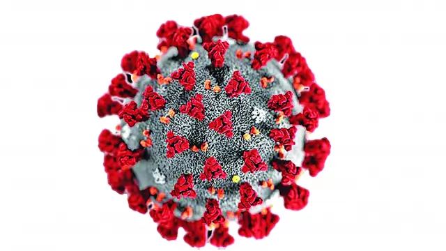 উপসর্গহীন করোনার ঝুঁকি